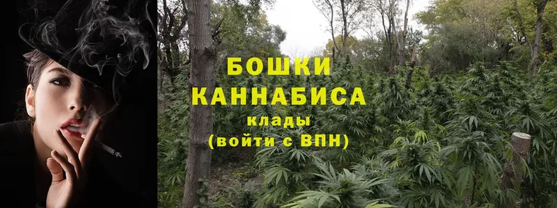 ссылка на мегу сайт  Вилючинск  Каннабис LSD WEED 